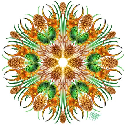 Framed Pine Unicorn Beetle Mandala Print