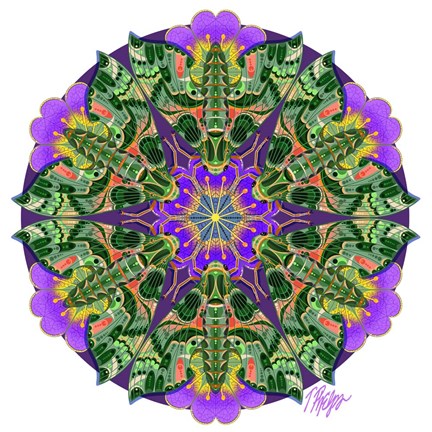 Framed Purple Petunia Sphinx Moth Mandala Print