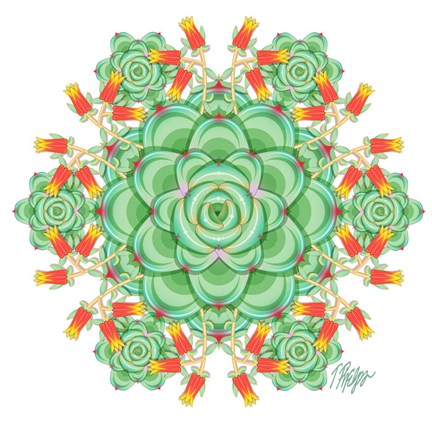 Framed Succulent Cactus Mandala Print