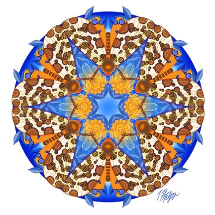 Framed Tiger Moth Resting Mandala Print