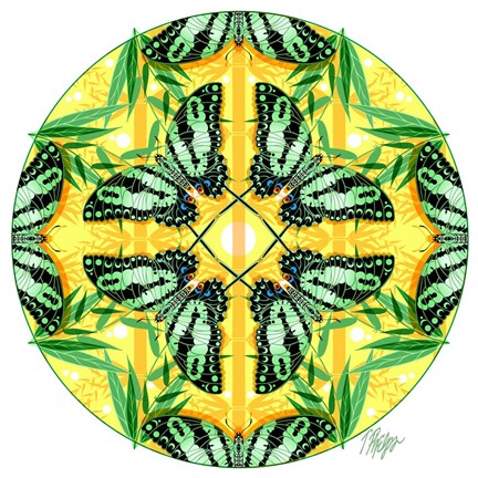 Framed Zebra Swallowtail Bamboo Mandala Print