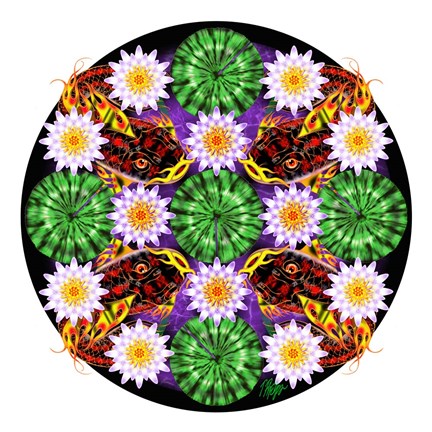 Framed Black and Red Koi Pond Mandala Print