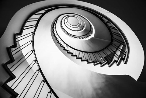 Framed Parrot Staircase  Black/White Print