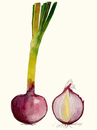 Framed Early Harvest IV Print