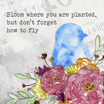 Framed Bloom &amp; Fly II Print