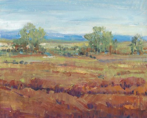 Framed Red Clay II Print