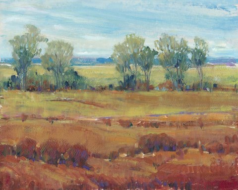 Framed Red Clay I Print