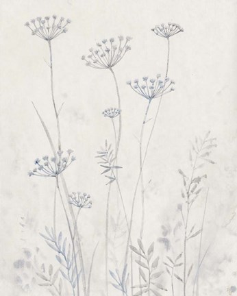 Framed Neutral Queen Anne&#39;s Lace II Print