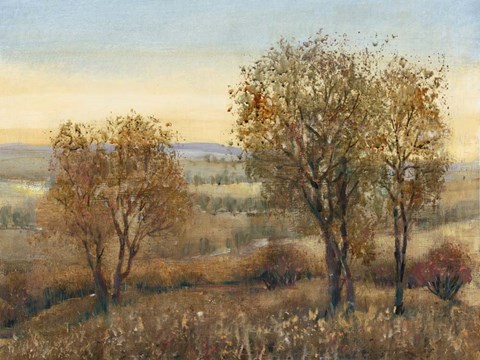 Framed Overlook II Print