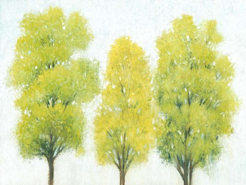 Framed Spring Eternal II Print