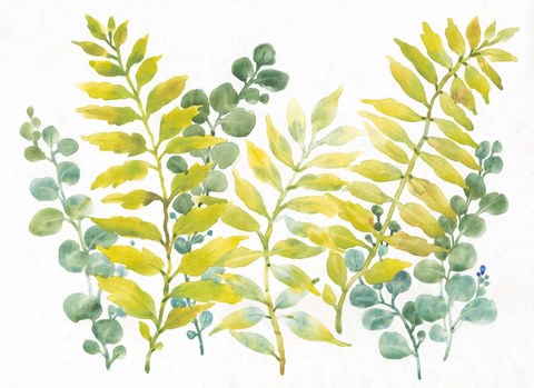 Framed Mixed Greenery II Print