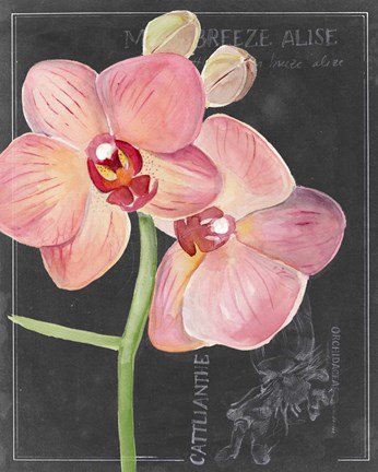 Framed Chalkboard Flower I Print