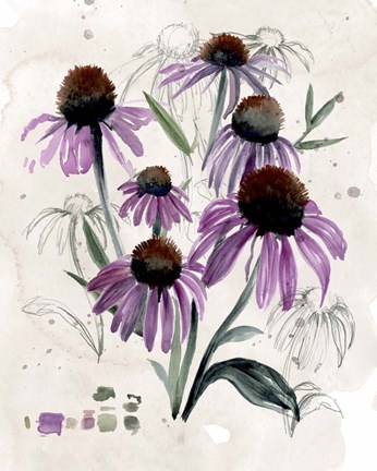 Framed Purple Wildflowers II Print