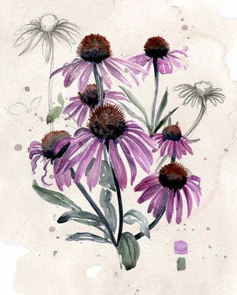 Framed Purple Wildflowers I Print