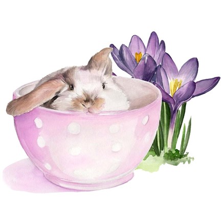 Framed Bunny Crossing II Print