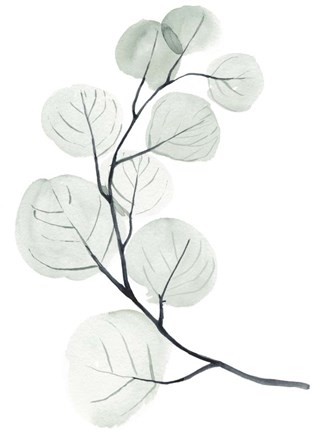 Framed Silver Dollars I Print