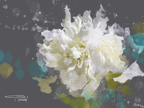 Framed Blow Away on The Wind 2-1 Print