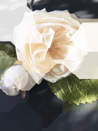 Framed Urban Flowers 21 Print