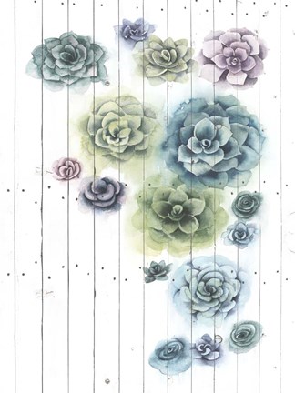 Framed Shiplap Succulent Cluster I Print
