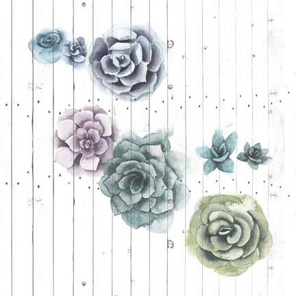 Framed Shiplap Succulent Cluster IV Print