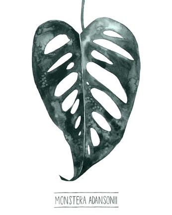 Framed Gemstone Tropicale III Print