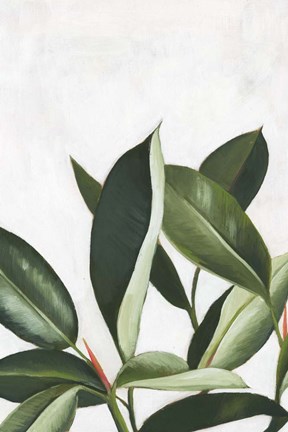 Framed Pura Vida IV Print