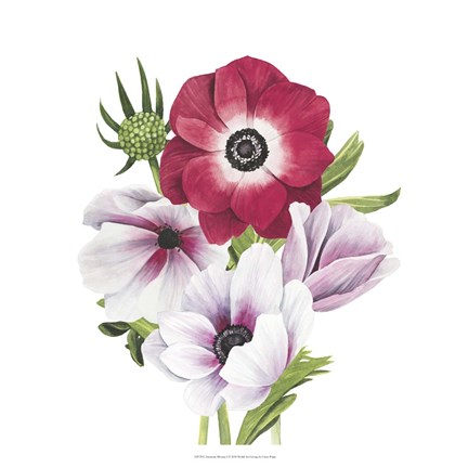 Framed Anemone Blooms I Print