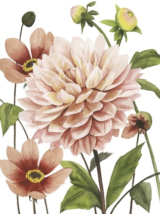 Framed Dahlia Spell I Print