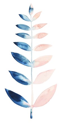 Framed Sprig II Print