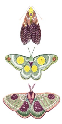 Framed Moth Fairies I Print