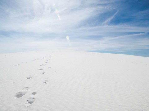 Framed White Dunes I Print