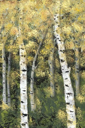 Framed Birch Treeline III Print