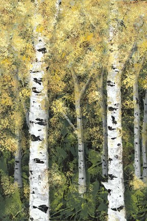 Framed Birch Treeline I Print