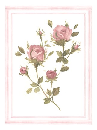 Framed Rose Pattern I Print