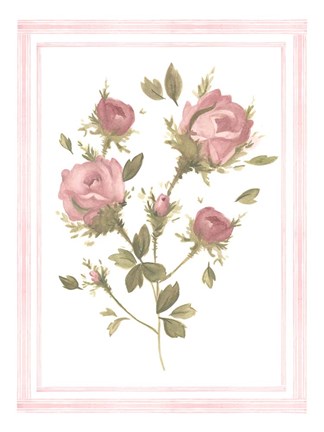 Framed Rose Pattern II Print