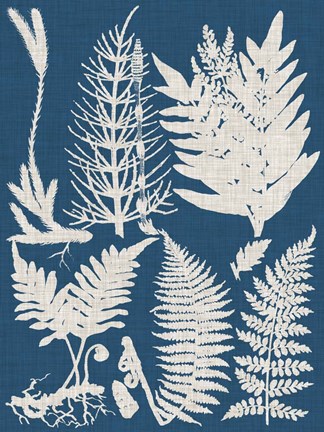 Framed Linen &amp; Blue Ferns II Print