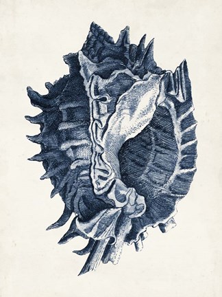 Framed Coastal Collection in Indigo I Print