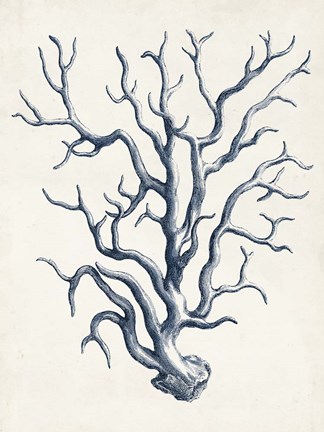 Framed Coastal Collection in Indigo IV Print