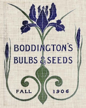 Framed Flower Seed Packs IV Print