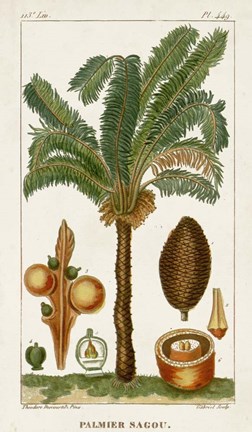 Framed Exotic Palms VII Print