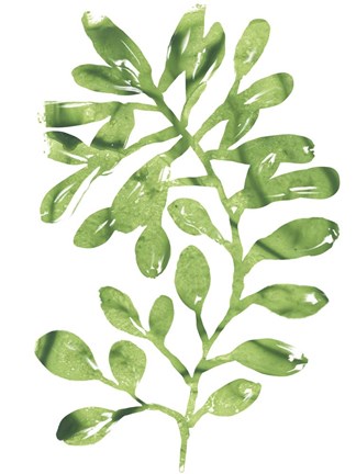 Framed Emerald Tropics II Print