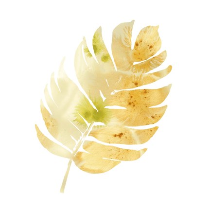 Framed Prisma Tropical III Print