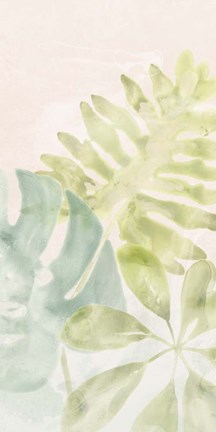 Framed Tropical Sorbet I Print