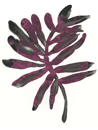 Framed Foliage Fossil III Print