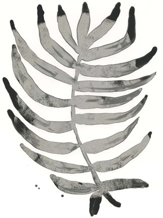 Framed Foliage Fossil IV Print