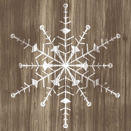 Framed Barnwood Wonderland II Print