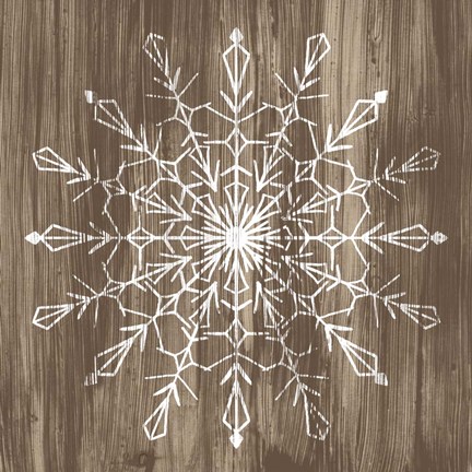 Framed Barnwood Wonderland VI Print