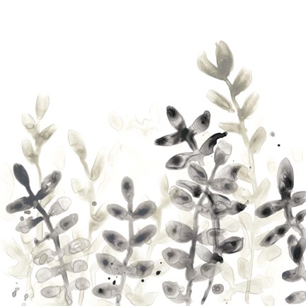 Framed Liquid Stems II Print