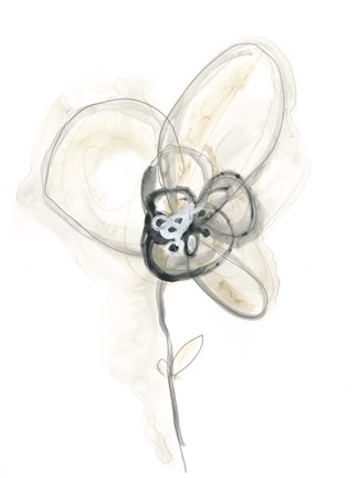 Framed Monochrome Floral Study I Print