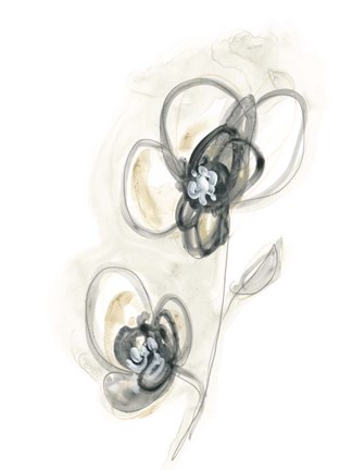 Framed Monochrome Floral Study II Print